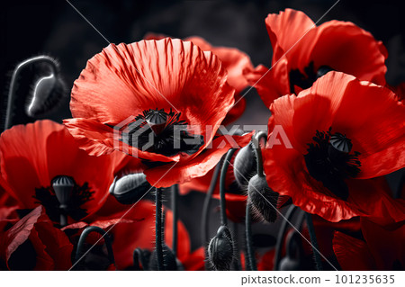 Red poppies as a symbol of memory for the fallen in the war. VE-Day, World War remembrance day. Generative AI illustration 101235635