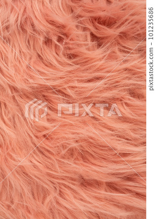 Pink fur background 101235686