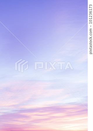 Sky with soft and fluffy pastel lilac pink and blue colored clouds. Sunset background. Nature. sunrise. Instagram toned style. Vertical 101236173