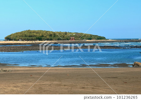 [Miyazaki Prefecture] Aoshima and the Demon Washboard seen from Aoshima Beach (Aoshima Shrine and Torii) 101236265