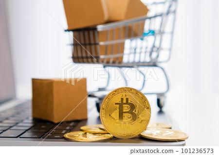 Bitcoin coins on the laptop and a mini toy shopping cart with cardboard boxes on the background. Mining and web banking concept. International network payment.  101236573