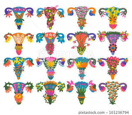 Blooming of uterus collection. Healthy female reproductive system, female sacral symbols cartoon vector 101236794