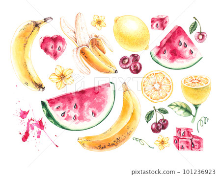 Set of summer fruits, berries on a white background 101236923