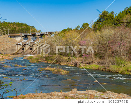 Sunny view of the landscape of Beaver River in Beavers Bend State Park 101237458