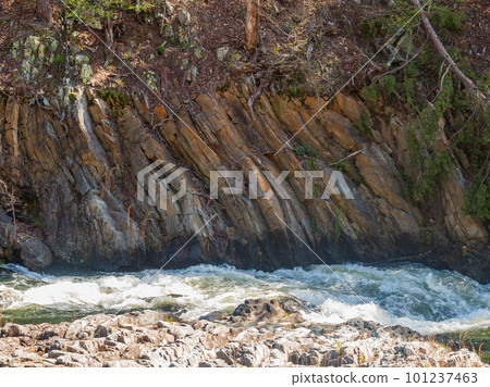 Sunny view of the landscape of Beaver River in Beavers Bend State Park 101237463