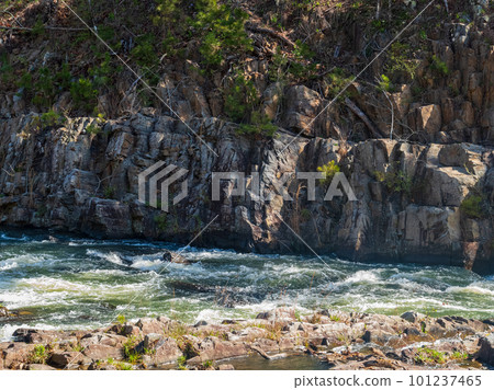 Sunny view of the landscape of Beaver River in Beavers Bend State Park 101237465