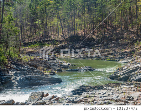 Sunny view of the landscape of Beaver River in Beavers Bend State Park 101237472