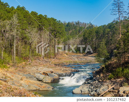 Sunny view of the landscape of Beaver River in Beavers Bend State Park 101237482