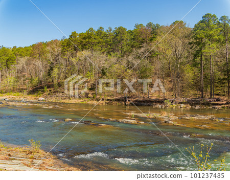 Sunny view of the landscape of Beaver River in Beavers Bend State Park 101237485