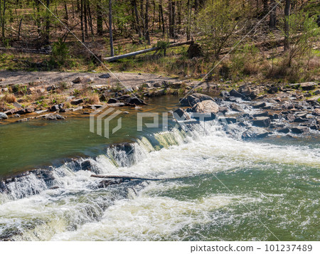 Sunny view of the landscape of Beaver River in Beavers Bend State Park 101237489