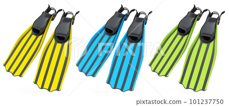 Set of diving flippers for summer holidays and snorkeling on white background. 101237750