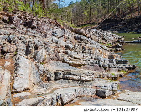 Sunny view of the landscape of Friends Trail Loop Trail in Beavers Bend State Park 101237997