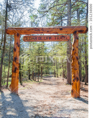 Sunny view of the entrance of Cedar Bluff Trail in Beavers Bend State Park 101238000