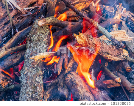 Close up shot of a camp fire in Beavers Bend State Park 101238055