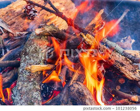 Close up shot of a camp fire in Beavers Bend State Park 101238056