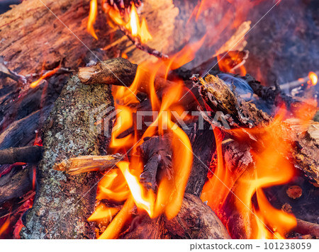Close up shot of a camp fire in Beavers Bend State Park 101238059
