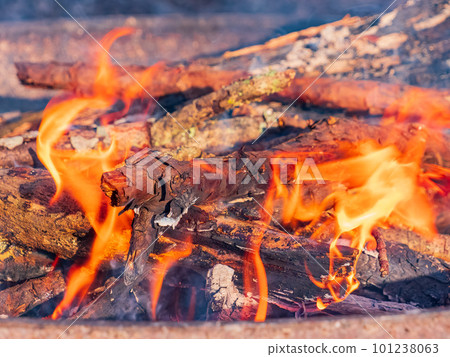 Close up shot of a camp fire in Beavers Bend State Park 101238063