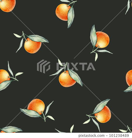 Seamless watercolour citrus fruits and leaves pattern. Green leaves and orange fruits on black background. Seamless mandarin and oranges watercolour illustration 101238489