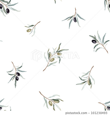 Watercolor seamless pattern with black and green olives and branch. Hand painted olives isolated on white background. Botanical illustration for design, print, fabric or background 101238493