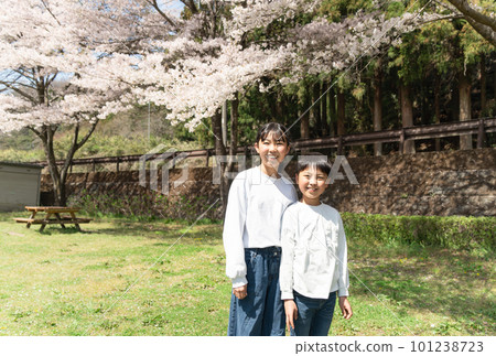 Elementary school boys and girls taking a commemorative photo under the cherry blossoms Elementary school boys and girls taking a commemorative photo under the cherry blossoms 101238723