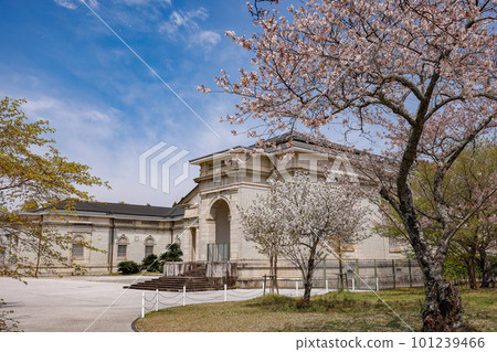 Shinto Shrine Shinto Shrine 101239466