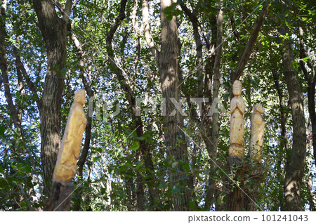 Buddha Buddha 101241043