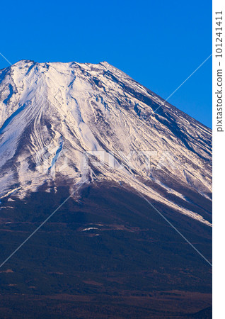 （山梨縣）晴朗的天空和白雪覆蓋的富士山 101241411