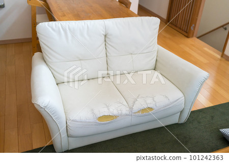 the sofa is tattered 101242363