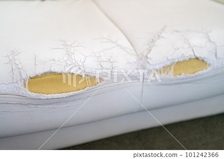 the sofa is tattered 101242366