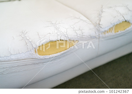 the sofa is tattered 101242367