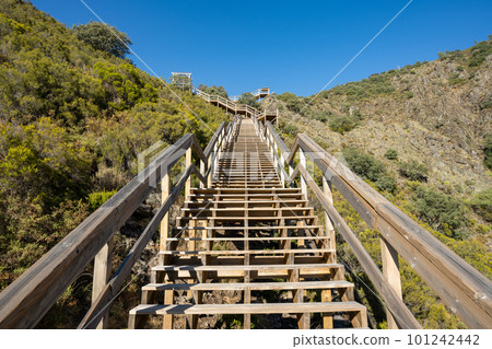 Walkways of Ribeira de Quelhas Walkways of Ribeira de Quelhas 101242442