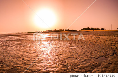 Low tide on Aveiro Lagoon at sunset 101242539