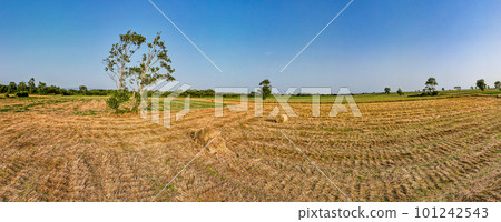 Aerial View of rural landscape Aerial View of rural landscape 101242543