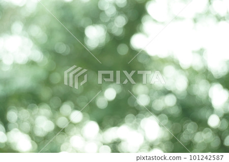 綠色背景光進來 5 綠色背景光進來 5 101242587