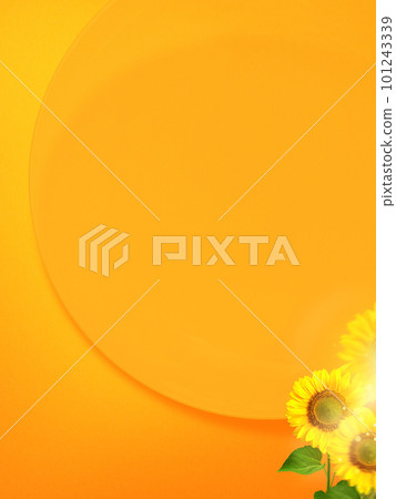 橙色背景上的向日葵 101243339