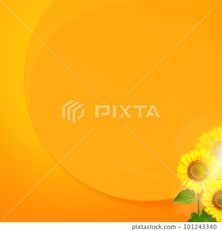 sunflower on orange background 101243340