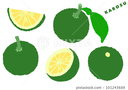 Kabosu hand-drawn illustration 101243689