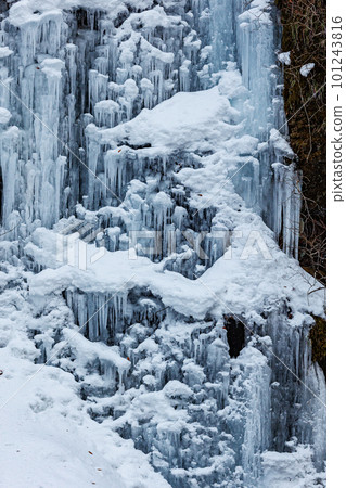 冬季奧入瀨溪流的巨大冰柱（青森縣） 101243816