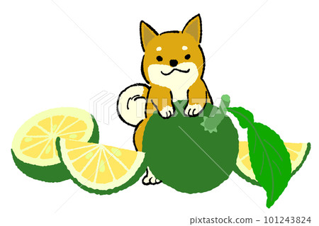 Kabosu and dog illustration Kabosu and dog illustration 101243824