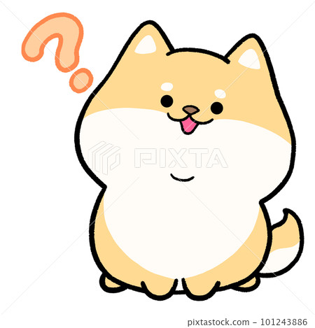 Shiba Inu wondering Shiba Inu wondering 101243886