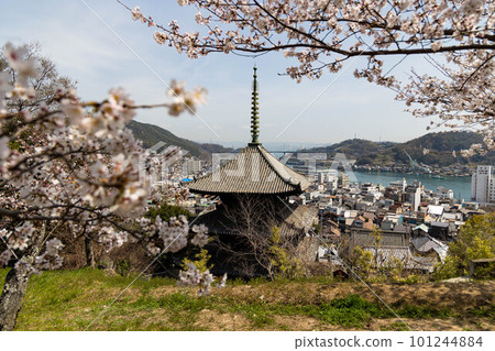 EOSR6.Hiroshima Onomichi, cherry blossom blur at Senkoji Park. EOSR6.Hiroshima Onomichi, cherry blossom blur at Senkoji Park. 101244884