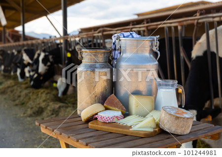 Image of dairy products on the farm Image of dairy products on the farm 101244981