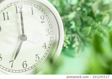 Alarm clock showing 7:00 in the morning and a photo material of plants 101245517