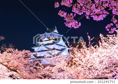 Osaka castle tower and cherry blossom light up Osaka castle tower and cherry blossom light up 101245751
