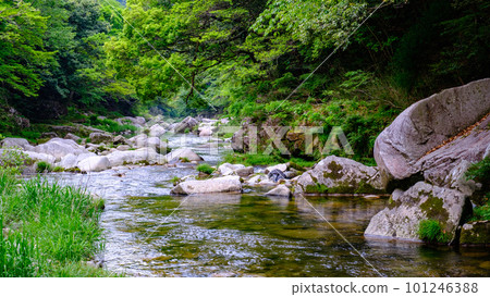 Fresh green Okutsu Valley 101246388
