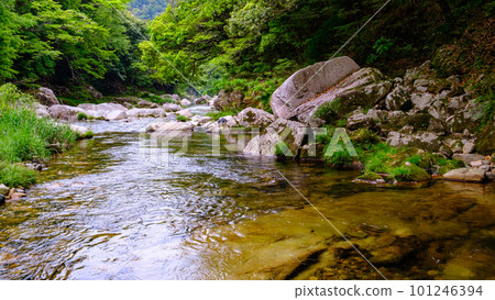 新綠奧津谷 新綠奧津谷 101246394