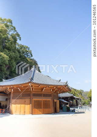 神戶、須磨寺、護摩堂和閃耀在藍天中的正殿 101246565