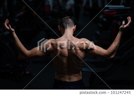 Back view of shirtless man with sculpted body in gym. Back view of shirtless man with sculpted body in gym. 101247245