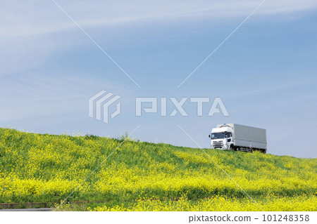 Truck image Truck image 101248358
