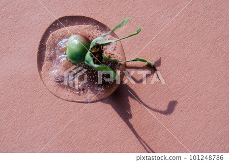 A drop of cosmetic gel on a pink background. 101248786